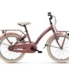 Loekie Prinses Meisjesfiets -Buitenspeelgoed Winkel 05520000 621386d36e