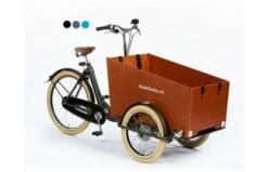 Bakfiets.nl CargoTrike Cruiser Wide Bakfiets