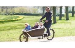 Urban Arrow Family Cargo Line Zwart 22 Urban Arrow Family Cargo Line Zwart -Buitenspeelgoed Winkel 13911eef6727fdd86a079762a60d6de4e46a61930451959b9af87f5a18a5fd48 1