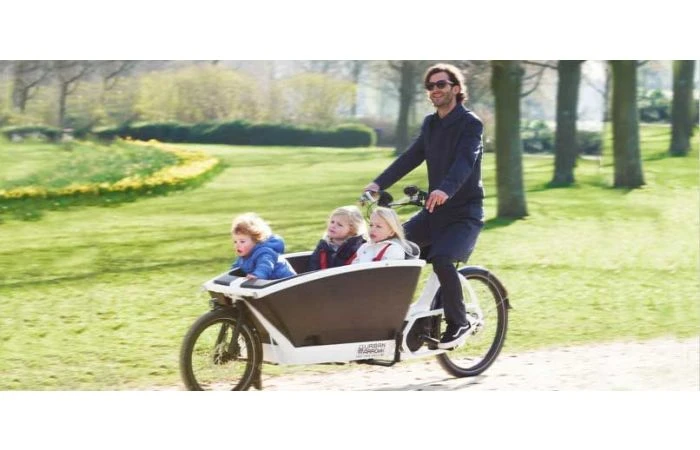 Urban Arrow Family Cargo Line Zwart 5 Urban Arrow Family Cargo Line Zwart - Afbeelding 3