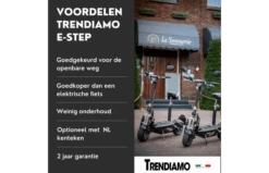 Trendiamo Country (EEC) E-Step (20 Km/u) Loodaccu 21 Trendiamo Country (EEC) E-Step (20 Km/u) Loodaccu -Buitenspeelgoed Winkel 1926140733