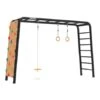 BERG Playbase Large Met Klimmuur, Discschommel En Ringen 2 BERG Playbase Large Met Klimmuur, Discschommel En Ringen -Buitenspeelgoed Winkel 1d8a98a81ff18a737f6b291c9acfc3fa102965bbfac1f0cd15ff494fceb1a24a