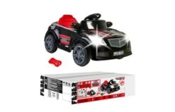Feber Twinkle Car 12V RC -Buitenspeelgoed Winkel 2007288 010