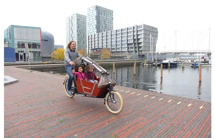 Bakfiets.nl CargoBike Cruiser Short Steps Elektrische Bakfiets 7 Bakfiets.nl CargoBike Cruiser Short Steps Elektrische Bakfiets - Afbeelding 5