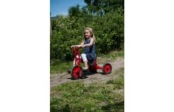 Winther Driewieler Mini 19 Winther Driewieler Mini -Buitenspeelgoed Winkel 2d1e831e536f9e3bb247e08f18135b2dee046d7461a4bd03f1f18a0c17b241ec