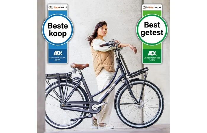 Popal Daily Dutch Prestige-E N3 Elektrische Fiets 4 Popal Daily Dutch Prestige-E N3 Elektrische Fiets - Afbeelding 2