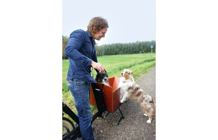 Bakfiets.nl CargoBike Cruiser Short Steps Elektrische Bakfiets 6 Bakfiets.nl CargoBike Cruiser Short Steps Elektrische Bakfiets - Afbeelding 4