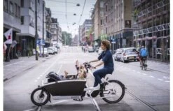 Urban Arrow Family Performance Essential Wit 18 Urban Arrow Family Performance Essential Wit -Buitenspeelgoed Winkel 4384d03d568d3301152156d07745cf703c92a41e9859b97337f9872c03462c1e