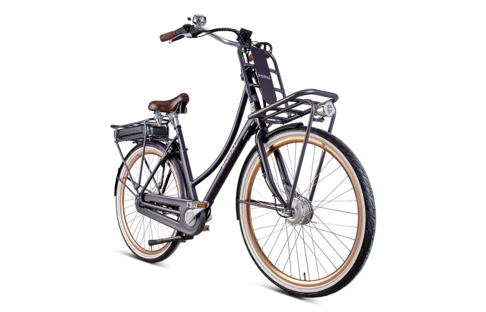 Popal Daily Dutch Prestige-E N3 Elektrische Fiets 17 Popal Daily Dutch Prestige-E N3 Elektrische Fiets - Afbeelding 15