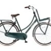Popal Daily Dutch Meisjesfiets -Buitenspeelgoed Winkel 550x359