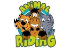 Animal Riding Paard Amadeus Small Bruin -Buitenspeelgoed Winkel 68587d19e77dec73ed2002c08ba6bc8b3b8262995ec66b436f9abab269febccf