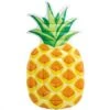 Intex Pineapple Mat 216x124cm -Buitenspeelgoed Winkel 6c5bde46395c8b164aae95dcbf8bac03ef7eb2c9084a2ee0886dc88ddd8ad533