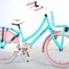 Volare Ibiza Meisjesfiets Turquoise Roze 20 Inch -Buitenspeelgoed Winkel 7056dbc7bc4bf8c829f87b56b033f74dfd5202af514bfc7a1cb6280b17fc4474