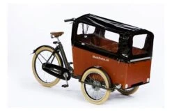 Bakfiets.nl CargoTrike Classic Narrow Steps Elektrische Bakfiets -Buitenspeelgoed Winkel 73c9143d830d20622abf0db09565af18d179bd95cb36feab8d556e475b5a3392