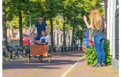 Bakfiets.nl CargoTrike Classic Wide Steps Elektrische Bakfiets -Buitenspeelgoed Winkel 7ce9a287655631f7b9b0201027ed86ecb32892586e37a2c88f0479e85e6a0bbc