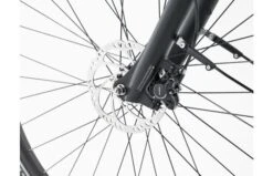 Qwic Urban FN7 Elektrische Damesfiets 12 Qwic Urban FN7 Elektrische Damesfiets -Buitenspeelgoed Winkel 82a9f32a0185a0b631b025263a5b830a8ee2faee7c71d3dfee7b189c2ead648e