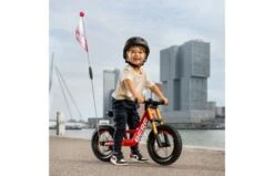 BERG Biky Cross Red 18 BERG Biky Cross Red -Buitenspeelgoed Winkel 8eca00bd2273ffaf56a93faecd3fb554a853e9edb99e64aaae49e0bd67275f45