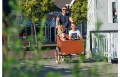 Bakfiets.nl CargoTrike Classic Wide Steps Elektrische Bakfiets -Buitenspeelgoed Winkel 903581b60900720589f9007d38d1edc02125990e8718e8b352640457e39f1241