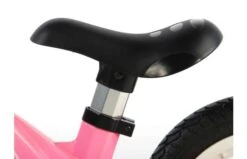 Volare Magnesium 12 Inch Loopfiets Roze -Buitenspeelgoed Winkel 91ceb00e072d21f95d8e53cf48147ad78dda9d8ef1206158cbc106c51aa6c213