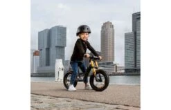 BERG Biky Cross Grey -Buitenspeelgoed Winkel 925298ef693db2031d6fbf3a2da26abd5744a8828d86154fd506f1ac0106874c