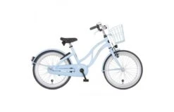 Alpina Ocean Meisjesfiets 13 Alpina Ocean Meisjesfiets -Buitenspeelgoed Winkel aoc20icblmx2400