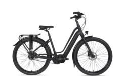 BSP Musa S Elektrische Damesfiets