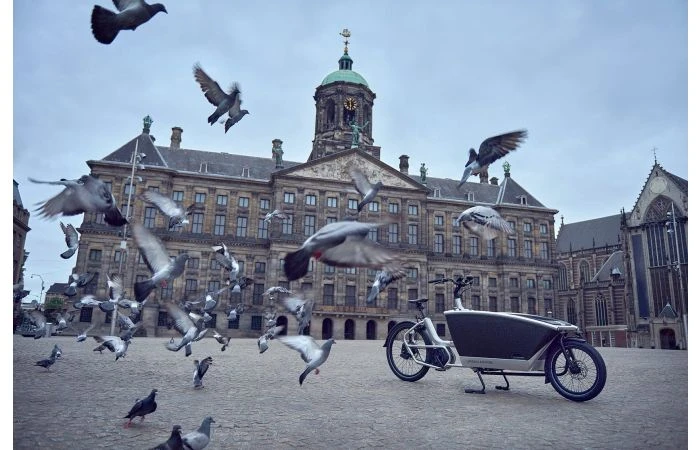 Urban Arrow Family Anniversary 7 Urban Arrow Family Anniversary - Afbeelding 5