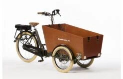 Bakfiets.nl CargoTrike Cruiser Narrow Steps Elektrische Bakfiets