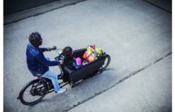 Urban Arrow Family Cargo Line Zwart 32 Urban Arrow Family Cargo Line Zwart -Buitenspeelgoed Winkel c1f9916e11d8548ea978b52bfb6ca5247cb84a596741b29ea0eaf13c0bc0c711 1