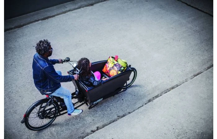 Urban Arrow Family Cargo Line Zwart 15 Urban Arrow Family Cargo Line Zwart - Afbeelding 13