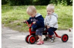 Winther Taxi Driewieler 522005 -Buitenspeelgoed Winkel c9b13b697e1063a9e7921d32bfe4aeae9f136e0727fdb17ceeaf343ab1819767