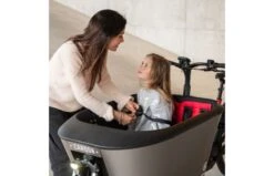 Carqon Classic Elektrische Bakfiets E2 21 Carqon Classic Elektrische Bakfiets E2 -Buitenspeelgoed Winkel carqon box 16 1