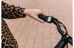 Qwic Urban RD9 Elektrische Damesfiets -Buitenspeelgoed Winkel d7c818c89833c7af20ef4193f24f2bce293afe66243e83dd4152ff4a9499ec96