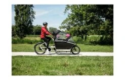 Urban Arrow Regentent Family Plus -Buitenspeelgoed Winkel ddd733ca1c7177ba588da75620563cf500dfdeac89ddbb54e88791996acd0d15