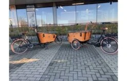VOGUE Carry 3 Elektrische Bakfiets Zwart/Bruin 18 VOGUE Carry 3 Elektrische Bakfiets Zwart/Bruin -Buitenspeelgoed Winkel e309a951cf4f6954f63deef41f4d08adb93dff50e046bfeaccfdd8473043257f