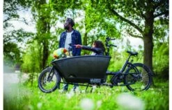 Urban Arrow Family Cargo Line Zwart 24 Urban Arrow Family Cargo Line Zwart -Buitenspeelgoed Winkel ee014219b72b31ae405f42d958ba5f0eb549da8acafebb43a0435218c8958350 1