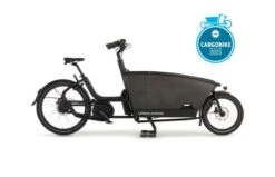 Urban Arrow Family Active Line Plus Zwart 14 Urban Arrow Family Active Line Plus Zwart -Buitenspeelgoed Winkel family rai active zwart 1