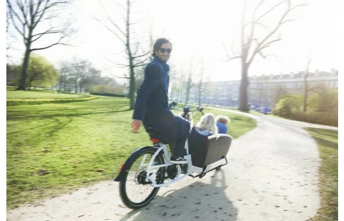 Urban Arrow Family Cargo Line Zwart 17 Urban Arrow Family Cargo Line Zwart - Afbeelding 15