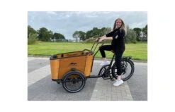 Cangoo Buckle E-bakfiets -Buitenspeelgoed Winkel hqdefault 13 6