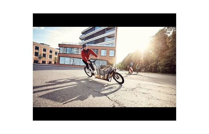 Bergamont Regentent 8 Bergamont Regentent - Afbeelding 6