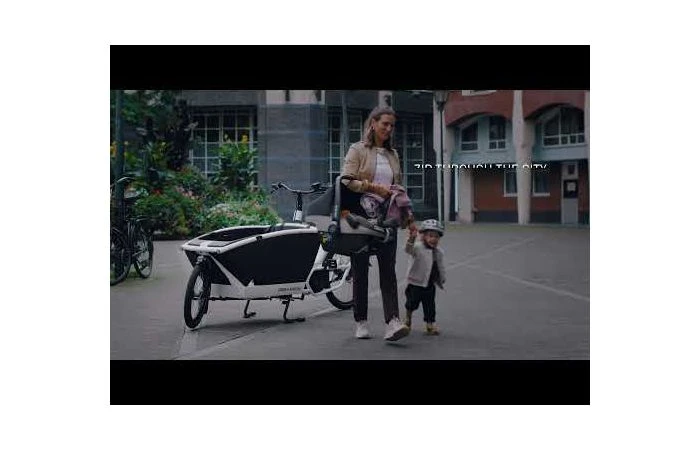 Urban Arrow Family Active Line Plus Zwart 13 Urban Arrow Family Active Line Plus Zwart - Afbeelding 11