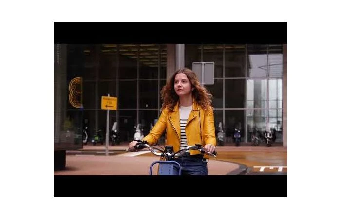 VOGUE Carry 3 Elektrische Bakfiets Zwart/Bruin 11 VOGUE Carry 3 Elektrische Bakfiets Zwart/Bruin - Afbeelding 9