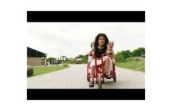 Winther Taxi Tweezits -Buitenspeelgoed Winkel hqdefault 46 6