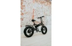 ES Master 250WATT Rock Wheel II Fatbike Glossy Black -Buitenspeelgoed Winkel img 9050 560x840 1