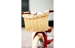 Fietsmandje Tbv Trybike Steel -Buitenspeelgoed Winkel l img 3958