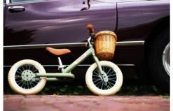 Fietsmandje Tbv Trybike Steel -Buitenspeelgoed Winkel l img 3971