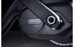 Cangoo Keewee E-bakfiets -Buitenspeelgoed Winkel popal 13 drijfas 5ae0