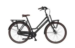 BSP La Dolce Vita Familiefiets N7 -Buitenspeelgoed Winkel schermafbeelding 2022 09 09 160121 2