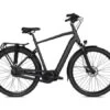 BSP Musa Elektrische Herenfiets -Buitenspeelgoed Winkel schermafbeelding 2022 09 09 165807
