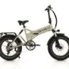 Troy Diablo Storm E-fatbike